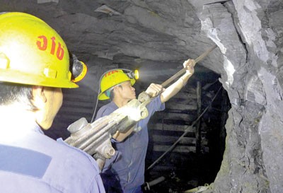 Phuoc Son and Bong Mieu Companies under Besra Vietnam have exploited tons of gold for exports but not paid taxes for the last several years (Photo: SGGP)